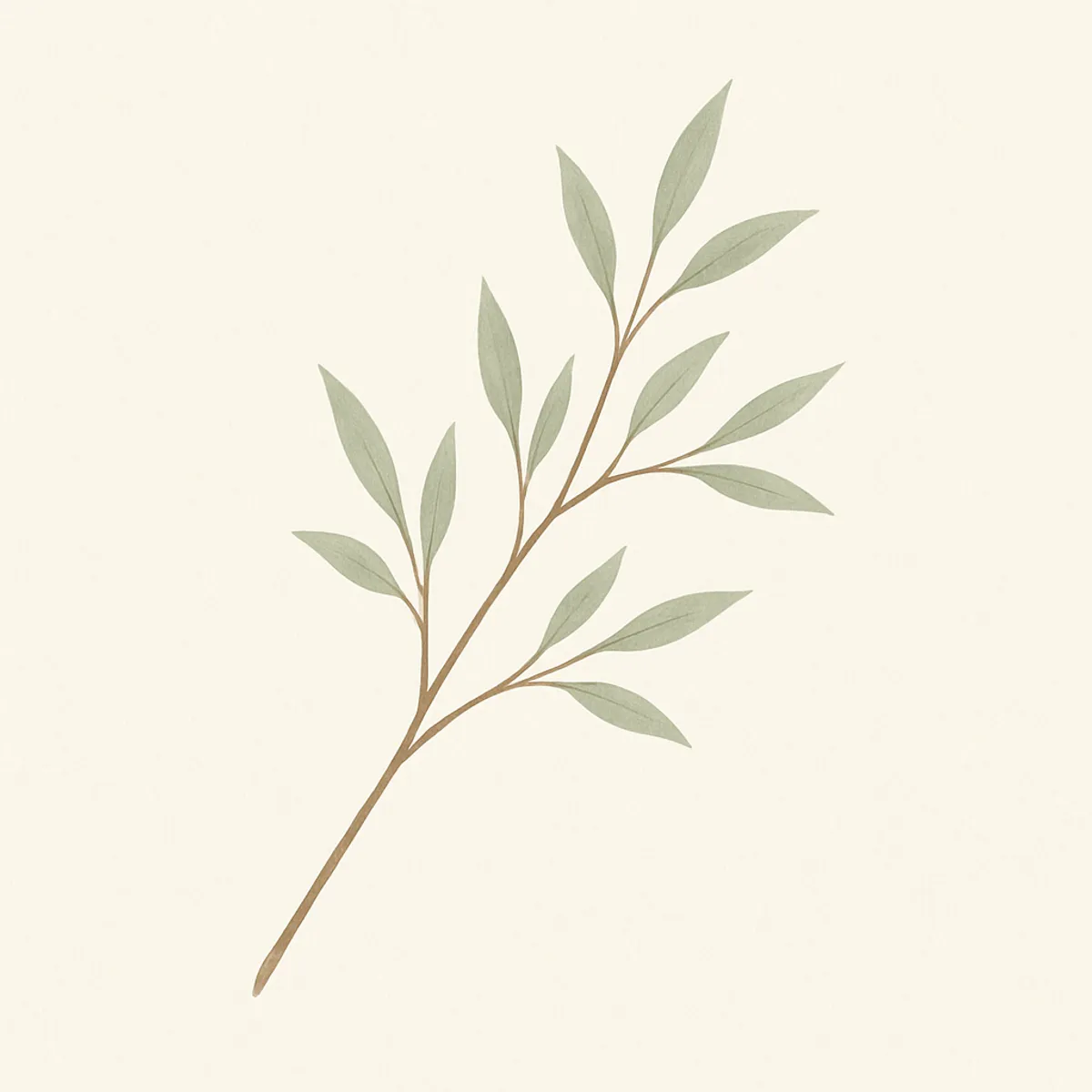 Single elegant tree branch with leaves on a cream background